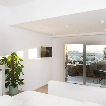 The View Of Mykonos Apartment