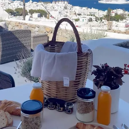 The View Of Mykonos Apartment